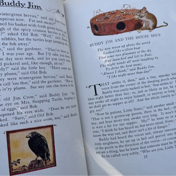 Buddy Jim Vintage 1920 Hardcover Book By Elizabeth Gordon - Picture 7 of 16